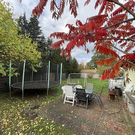 Das Gruene Haus Finsterwalde Extérieur photo