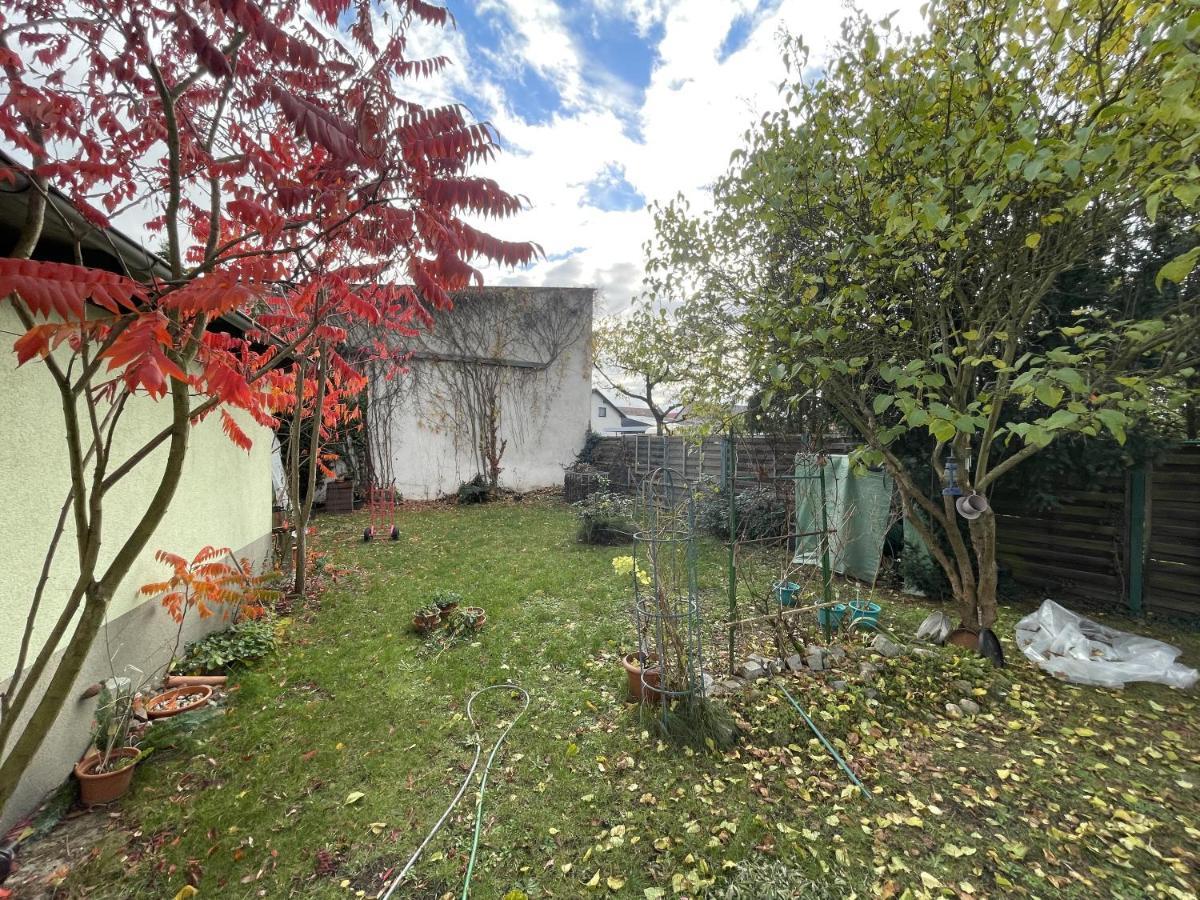 Das Gruene Haus Finsterwalde Extérieur photo